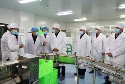 云南省副省長邱江調研疫苗監管與產業發展 強調醫學研究與試驗發展重要性